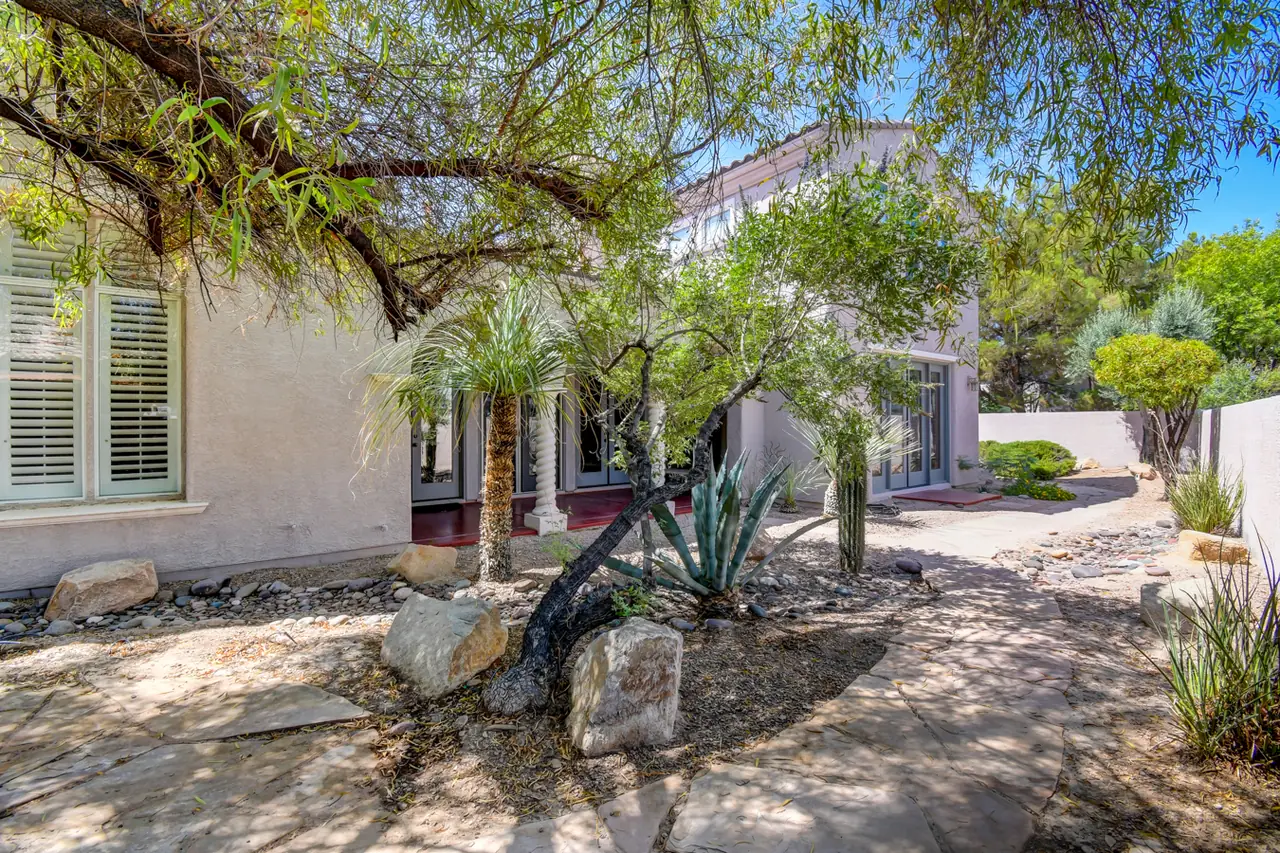 Desert garden with agave and mature trees